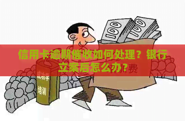 信用卡逾期如何处理？银行立案后怎么办？