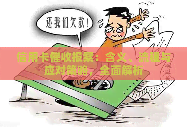 信用卡报案：含义、流程与应对策略，全面解析