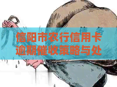 信阳市农行信用卡逾期策略与处理方法