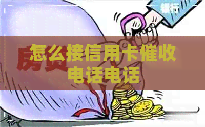怎么接信用卡电话电话