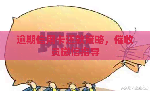 逾期信用卡还款策略，员微信指导