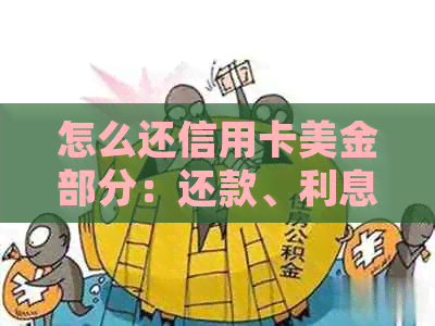 怎么还信用卡美金部分：还款、利息与总额控制