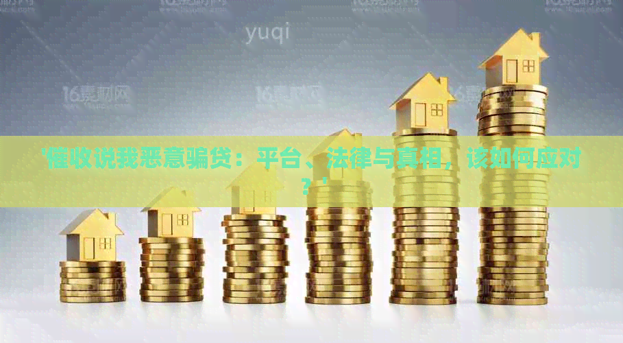 '说我恶意骗贷：平台、法律与真相，该如何应对？'
