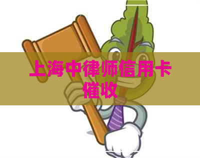 上海中律师信用卡