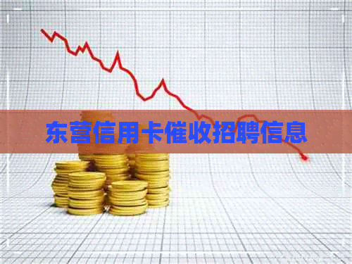 东营信用卡招聘信息
