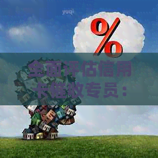 全面评估信用卡专员：他们的信誉、职责和有效性，为你提供清晰的视角