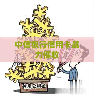中信银行信用卡