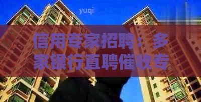 信用专家招聘：多家银行直聘专员与团队构建