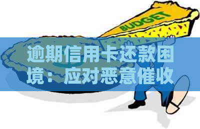逾期信用卡还款困境：应对恶意的有效策略