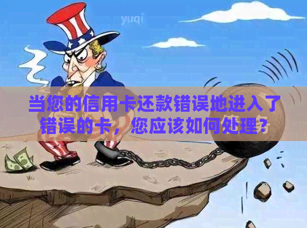 当您的信用卡还款错误地进入了错误的卡，您应该如何处理？