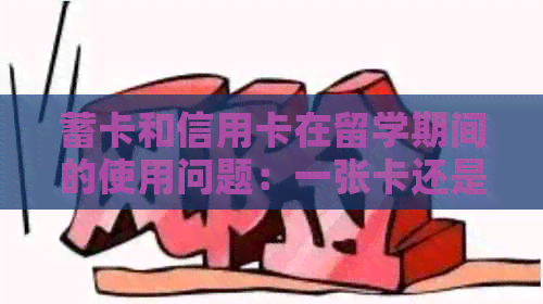 蓄卡和信用卡在留学期间的使用问题：一张卡还是两张？