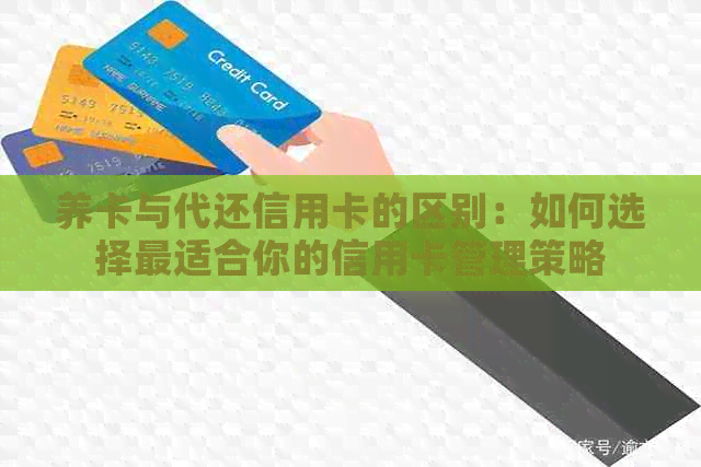 养卡与代还信用卡的区别：如何选择最适合你的信用卡管理策略