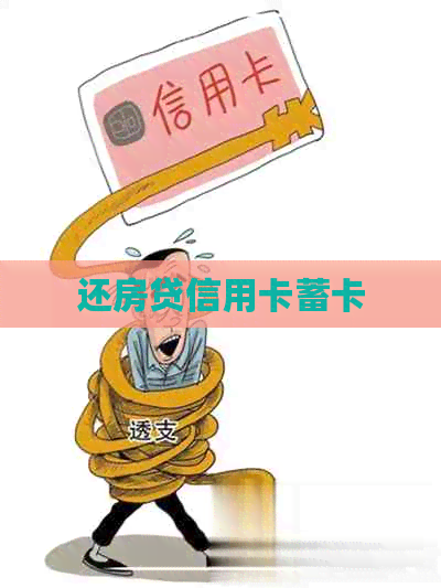 还房贷信用卡蓄卡