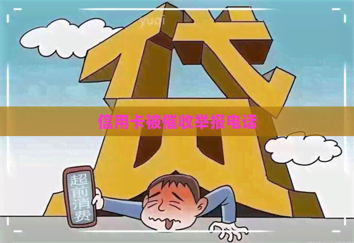 信用卡被举报电话