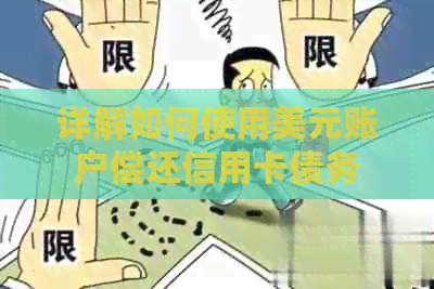 详解如何使用美元账户偿还信用卡债务