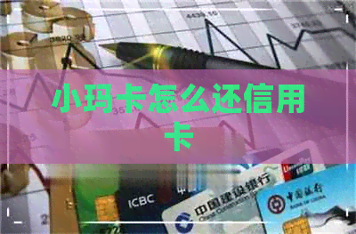 小玛卡怎么还信用卡