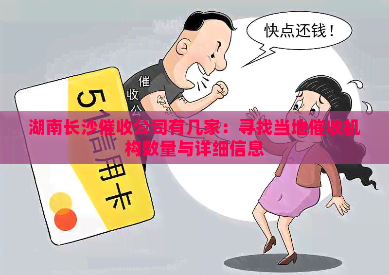 湖南长沙公司有几家：寻找当地机构数量与详细信息