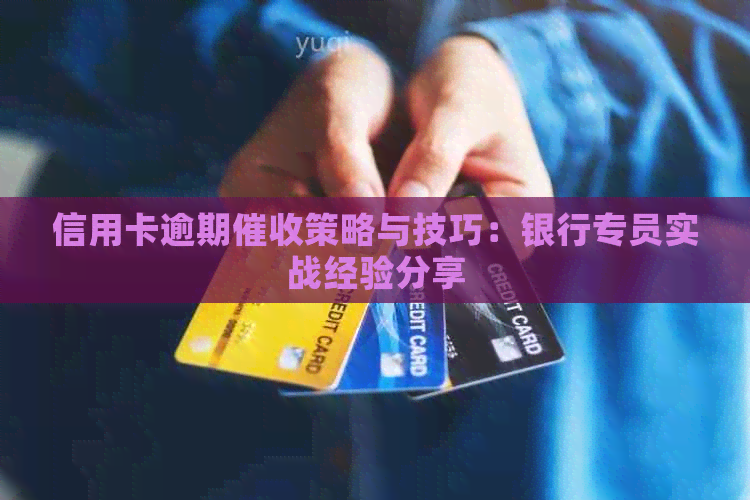 信用卡逾期策略与技巧：银行专员实战经验分享