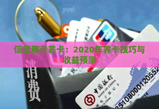 信信用卡养卡：2020年养卡技巧与收益预测