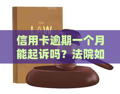 信用卡逾期一个月能起诉吗？法院如何处理和执行？