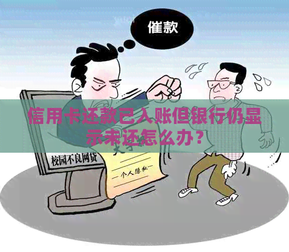 信用卡还款已入账但银行仍显示未还怎么办？