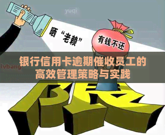 银行信用卡逾期员工的高效管理策略与实践