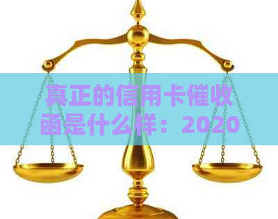 真正的信用卡函是什么样：2020年规定与操作详情