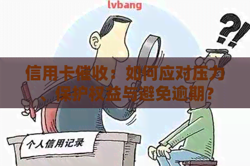 信用卡：如何应对压力、保护权益与避免逾期？