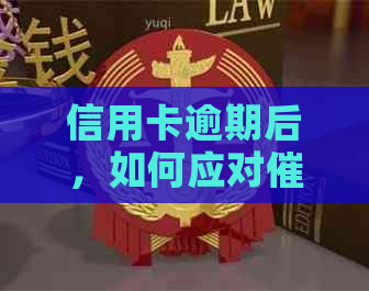 信用卡逾期后，如何应对员的不断来电？