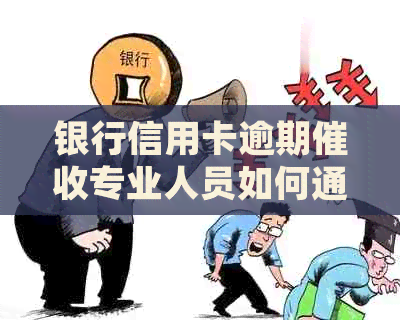 银行信用卡逾期专业人员如何通过电话高效沟通与处理