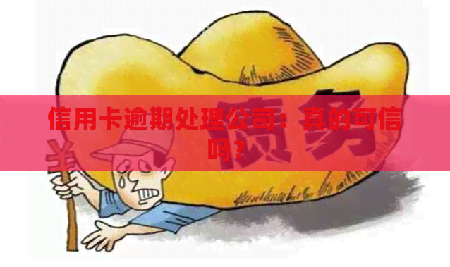 信用卡逾期处理公司：真的可信吗？