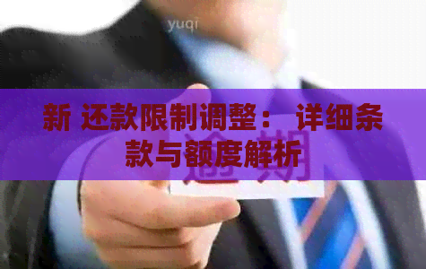 新 还款限制调整： 详细条款与额度解析