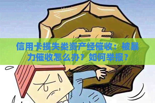 信用卡损失类资产经：被怎么办？如何举报？