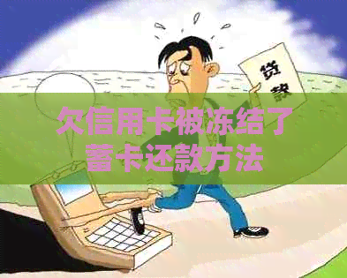 欠信用卡被冻结了蓄卡还款方法