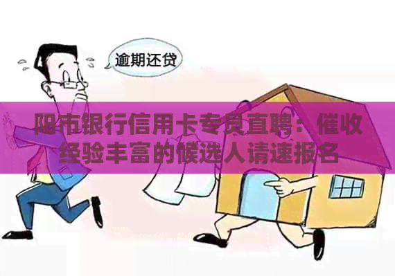 阳市银行信用卡专员直聘：经验丰富的候选人请速报名
