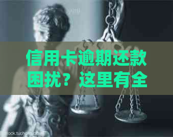 信用卡逾期还款困扰？这里有全面解决方案！