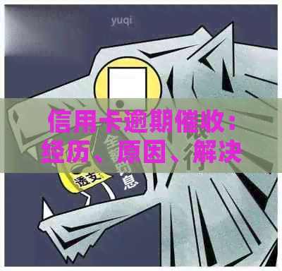 信用卡逾期：经历、原因、解决方法全方位解析，你想知道的都在这里！