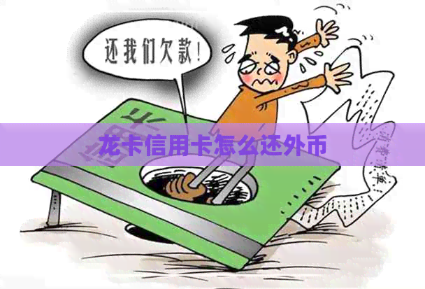 龙卡信用卡怎么还外币