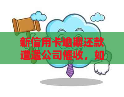 新信用卡逾期还款遭遇公司，如何应对处理？