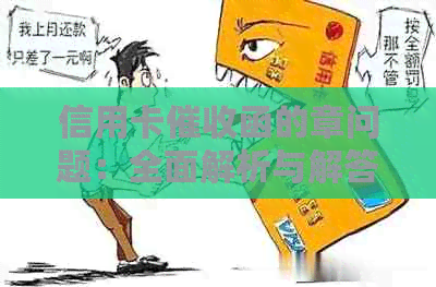 信用卡函的章问题：全面解析与解答