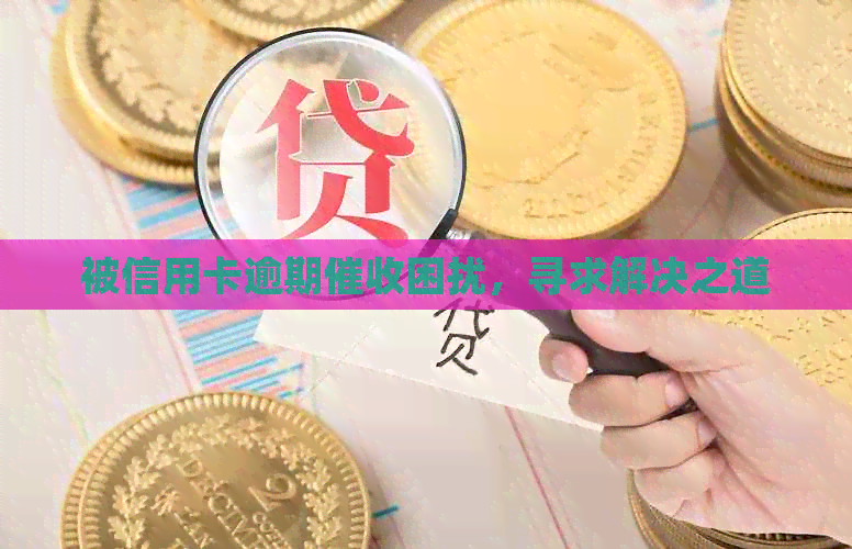 被信用卡逾期困扰，寻求解决之道