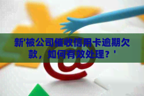 新'被公司信用卡逾期欠款，如何有效处理？'