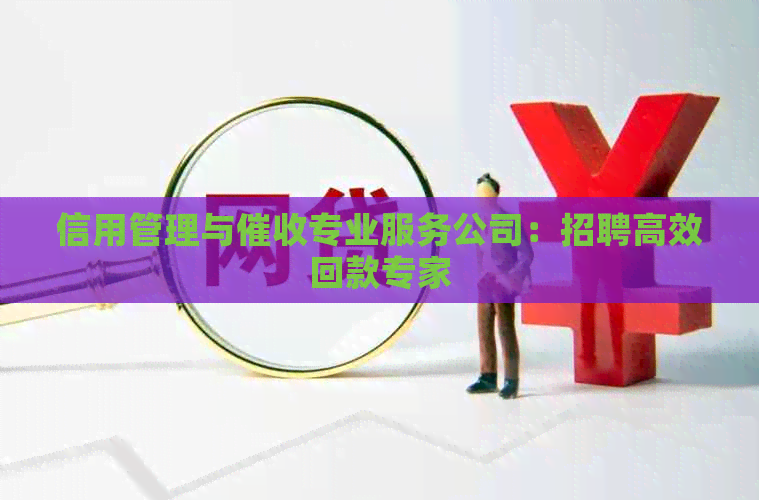 信用管理与专业服务公司：招聘高效回款专家