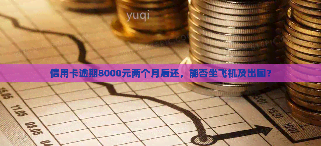 信用卡逾期8000元两个月后还，能否坐飞机及出国？