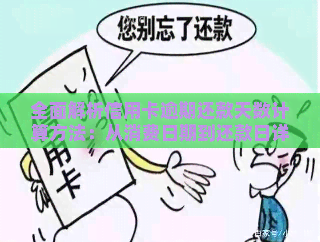 全面解析信用卡逾期还款天数计算方法：从消费日期到还款日详细指南