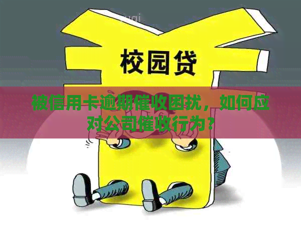 被信用卡逾期困扰，如何应对公司行为？
