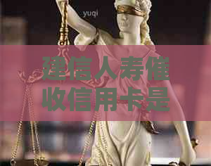 建信人寿信用卡是真的吗安全吗