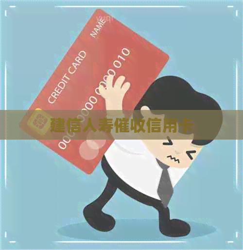 建信人寿信用卡