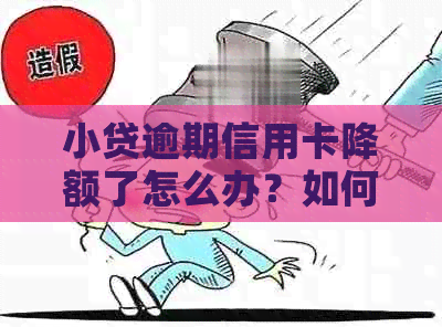 小贷逾期信用卡降额了怎么办？如何恢复额度？了解原因与应对策略