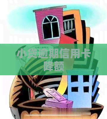 小贷逾期信用卡降额